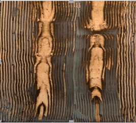 創新系列工藝之年輪之樸